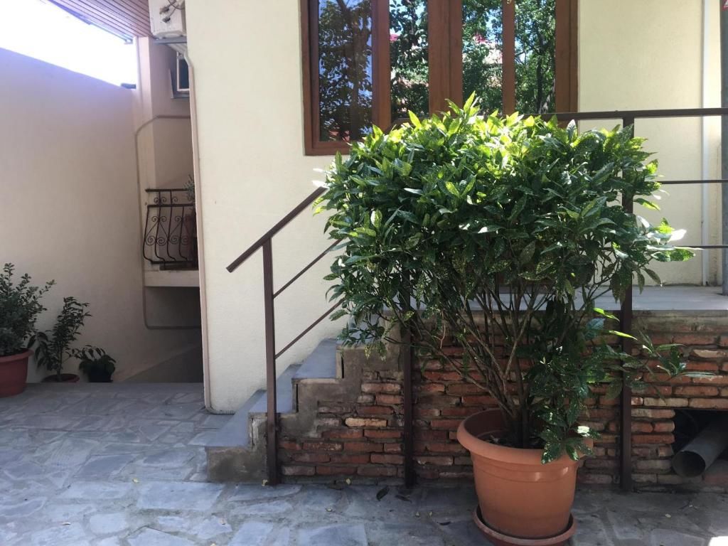 Отель Heyvany Тбилиси-51